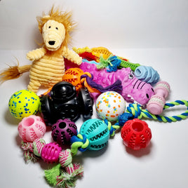 Dog Toys