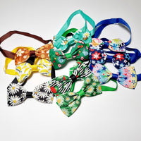 Pet Grooming Bow Ties & Ties