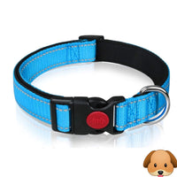 Nylon Pet Collars X-Small 20cm-30cm