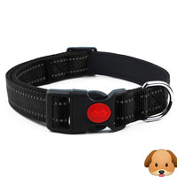 Nylon Pet Collars X-Small 20cm-30cm