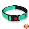 Nylon Pet Collar Medium 35-50cm