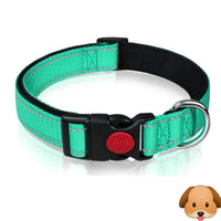 Nylon Pet Collars X-Small 20cm-30cm