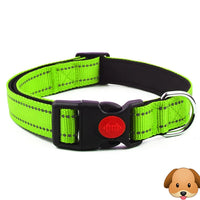 Nylon Pet Collars X-Small 20cm-30cm