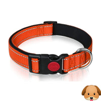 Nylon Pet Collars X-Small 20cm-30cm