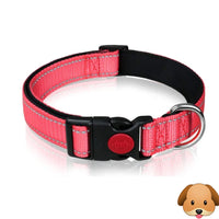 Nylon Pet Collars X-Small 20cm-30cm