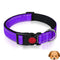 Nylon Pet Collars X-Small 20cm-30cm