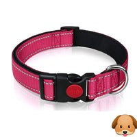 Nylon Pet Collars X-Small 20cm-30cm