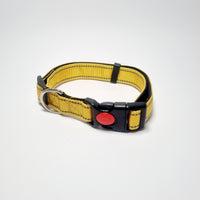 Nylon Pet Collars X-Small 20cm-30cm