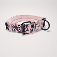 Personalised  Collars with  Free Customisation