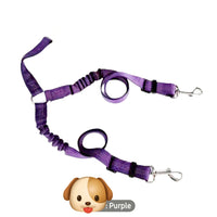 Double Pet Safety Seatbelt