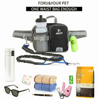 Deluxe Running Dog Leash With Bag