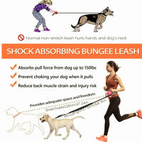 Deluxe Running Dog Leash With Bag