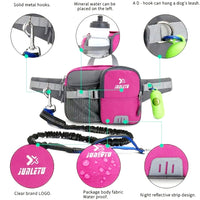 Deluxe Running Dog Leash With Bag