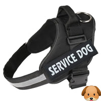 Personalized No Pull Adjustable Reflective Dog Harness X-SMALL