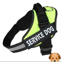 Personalized No Pull Adjustable Reflective Dog Harness X-SMALL