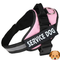 Personalized No Pull Adjustable Reflective Dog Harness X-SMALL