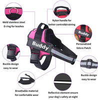 Personalized No Pull Adjustable Reflective Dog Harness X-SMALL