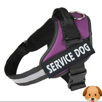 Personalized No Pull Adjustable Reflective Dog Harness X-SMALL