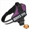 Personalized No Pull Adjustable Reflective Dog Harness SMALL