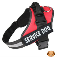 Personalized No Pull Adjustable Reflective Dog Harness X-SMALL