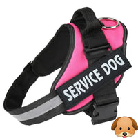 Personalized No Pull Adjustable Reflective Dog Harness X-SMALL