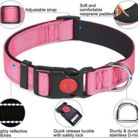 Nylon Pet Collars X-Small 20cm-30cm