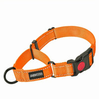 Nylon Training Collars