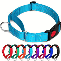 Nylon Training Collars