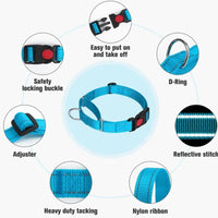 Nylon Training Collars