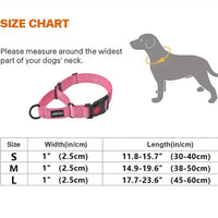 Nylon Training Collars